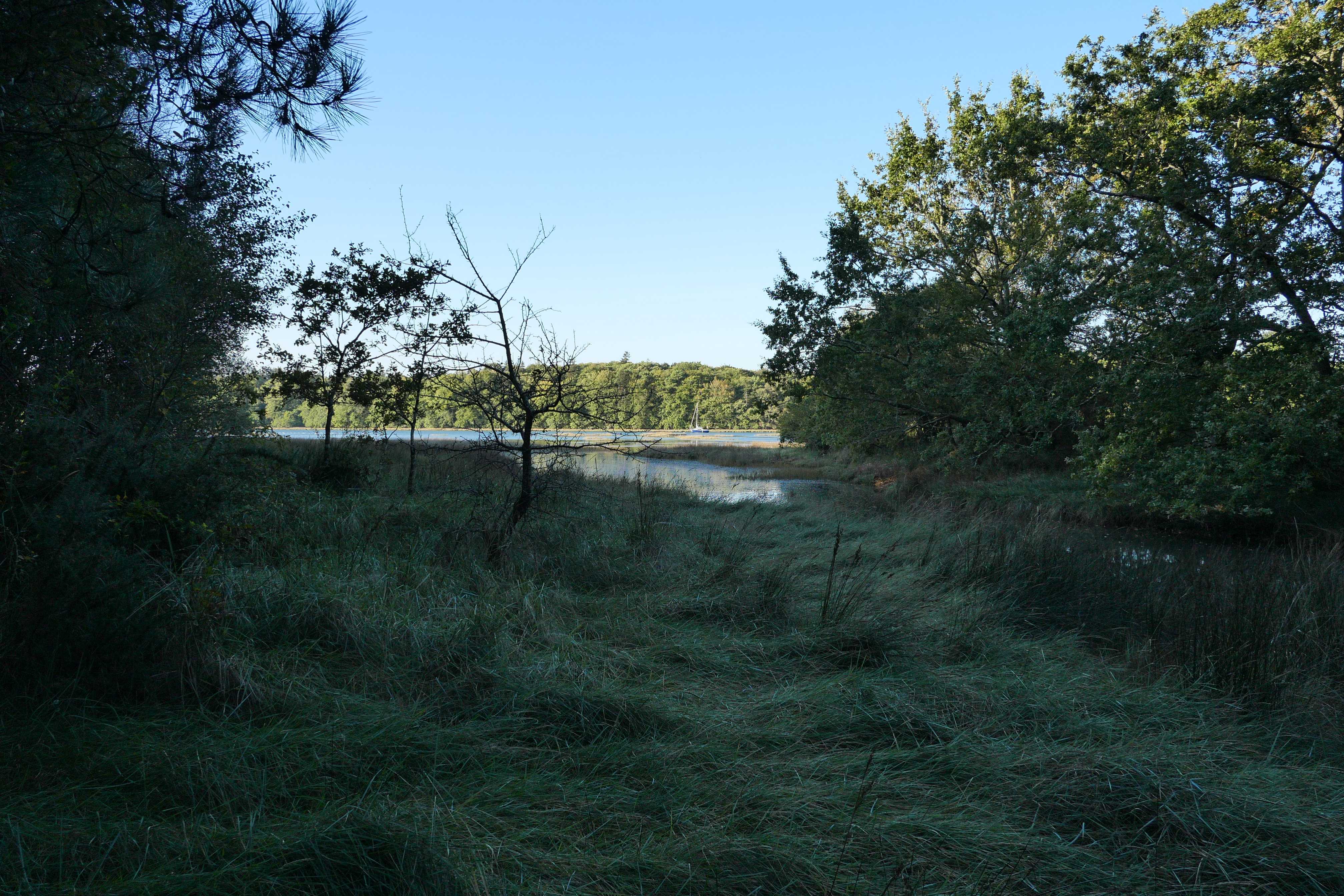 2019-09-18_09-27_JFC 0299