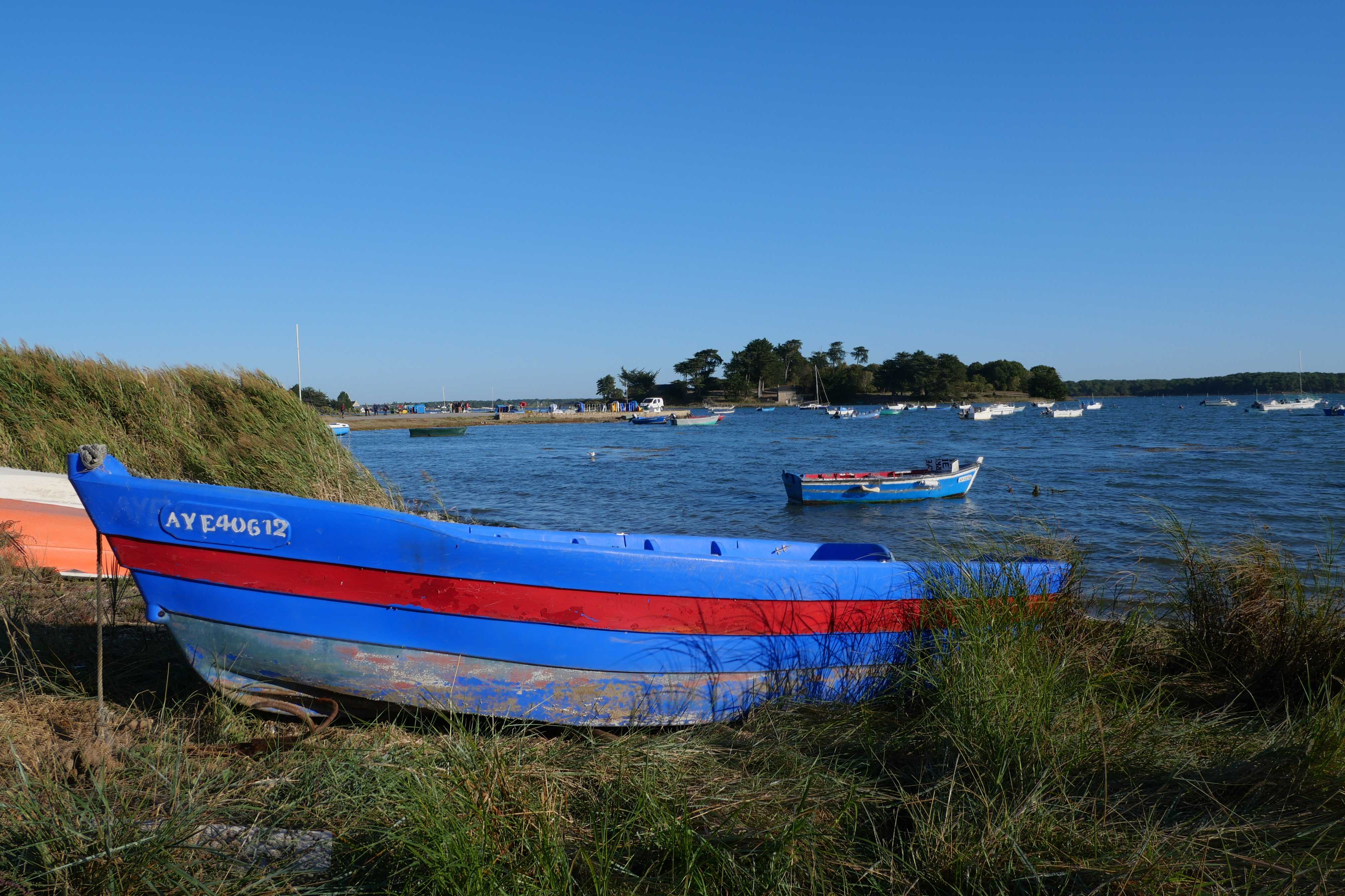 2019-09-20_09-47_JFC 0435