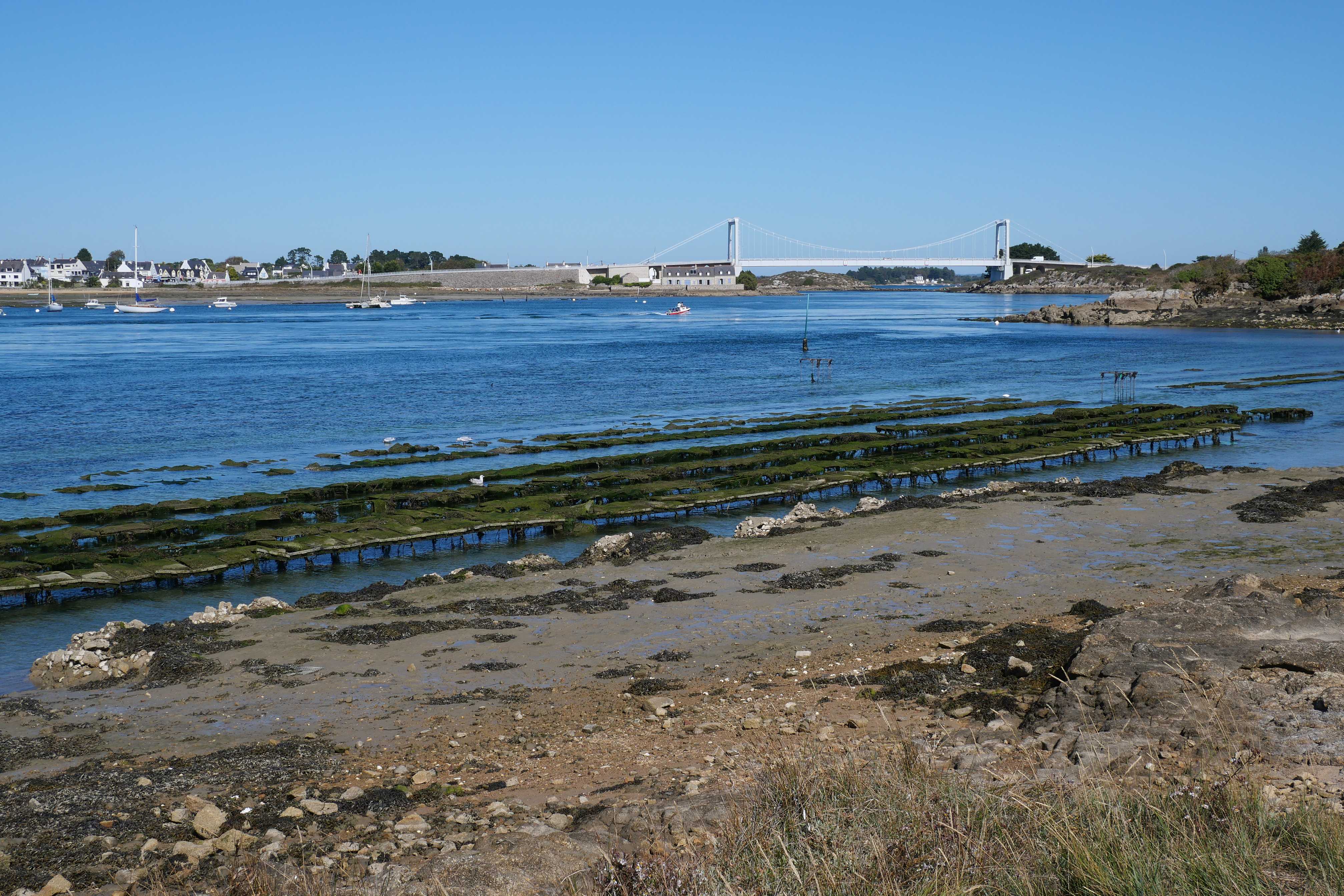 2019-09-20_13-52_JFC 0487