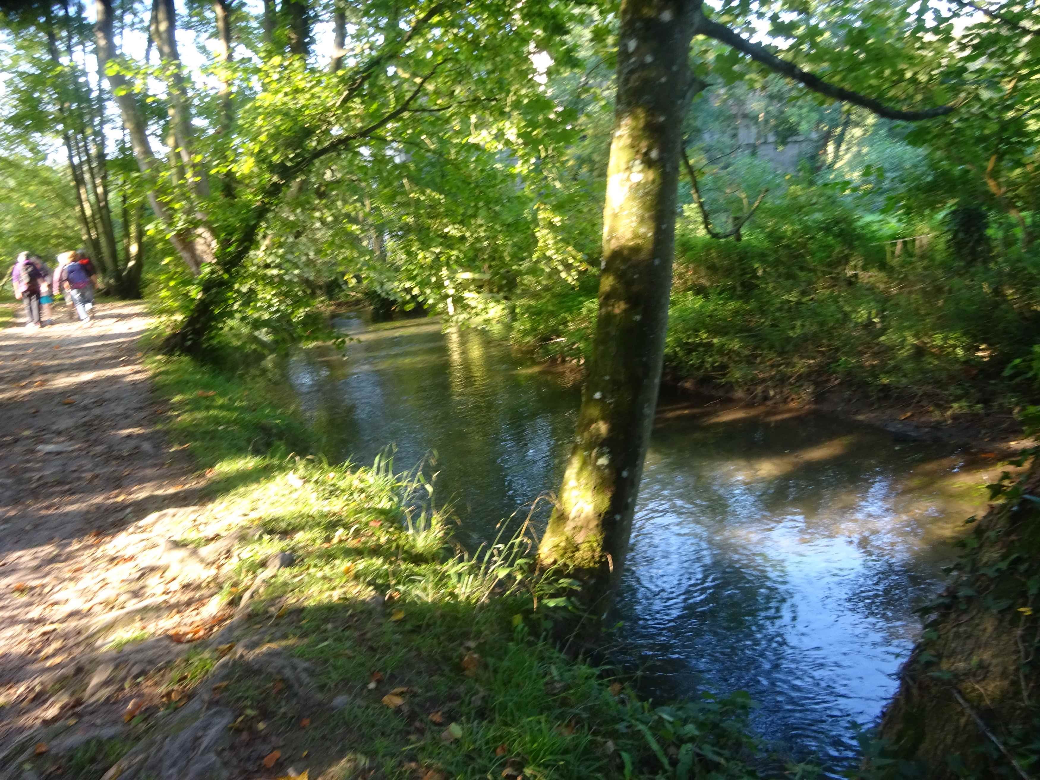 2020 09 17 09 17 cm 0116