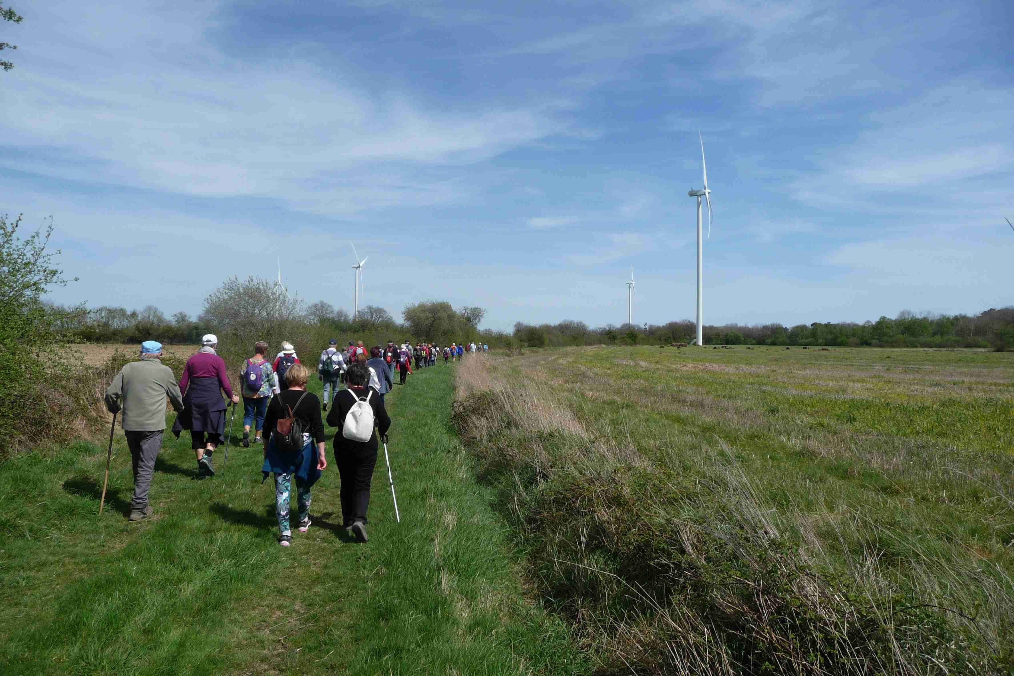 Leigné les bois 8kms 11/04