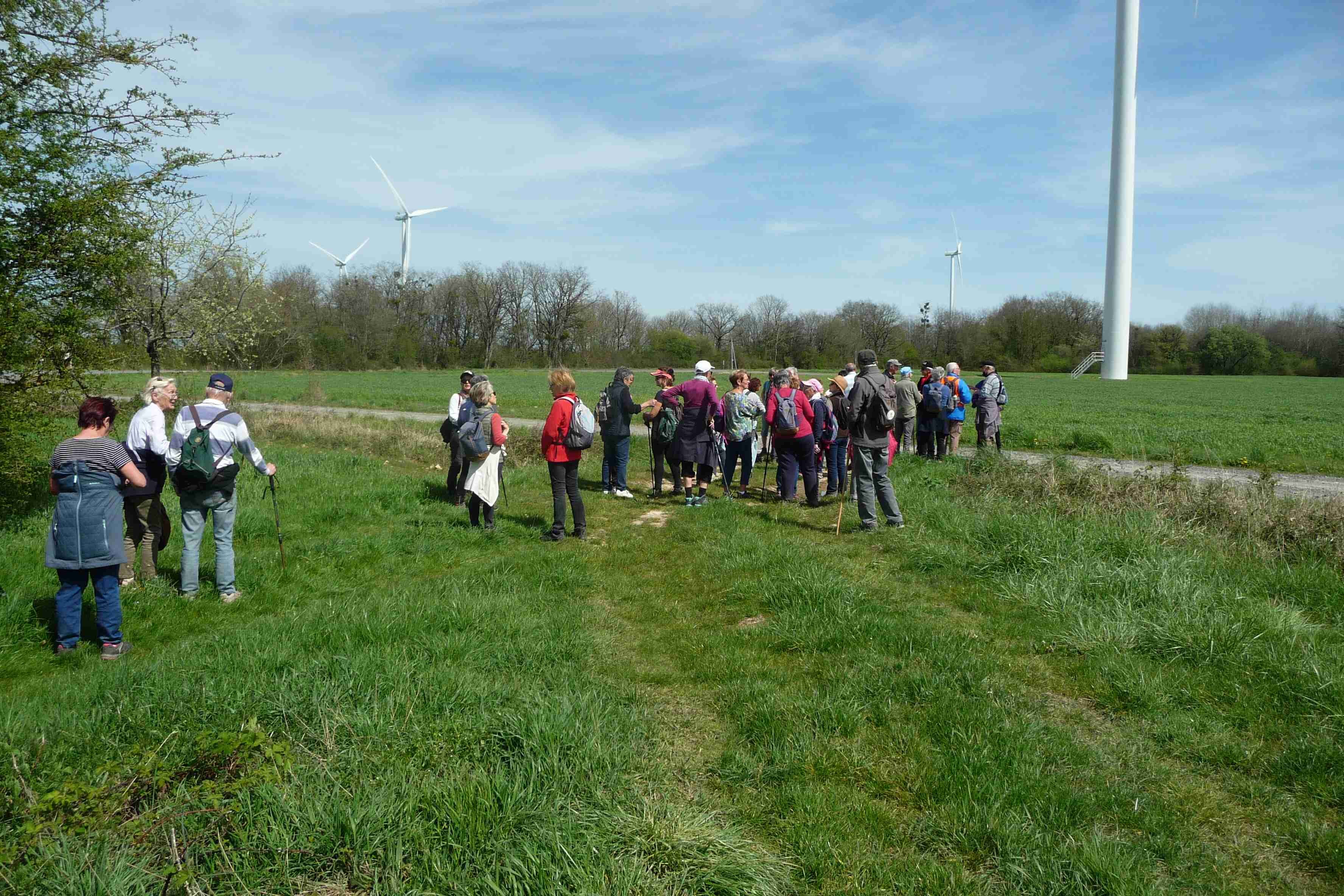 Leigné les bois 8kms 11/04