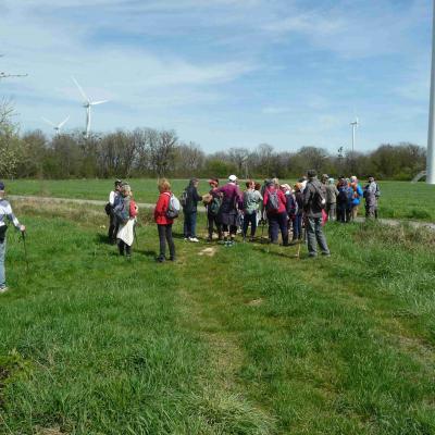 Leigné les bois 8kms 11/04