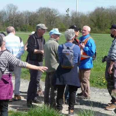 Leigné les bois 8kms 11/04