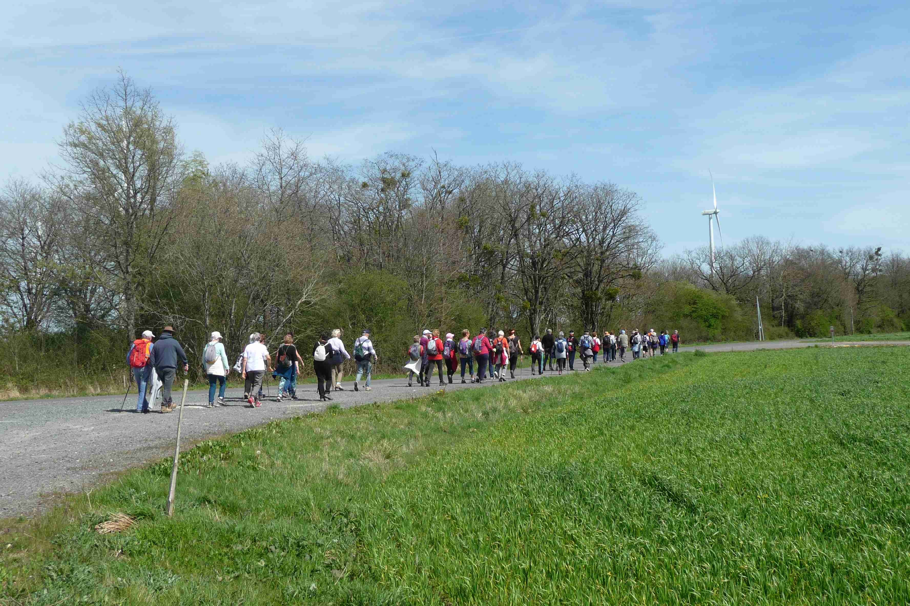 Leigné les bois 8kms 11/04