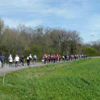 Leigné les bois 8kms 11/04