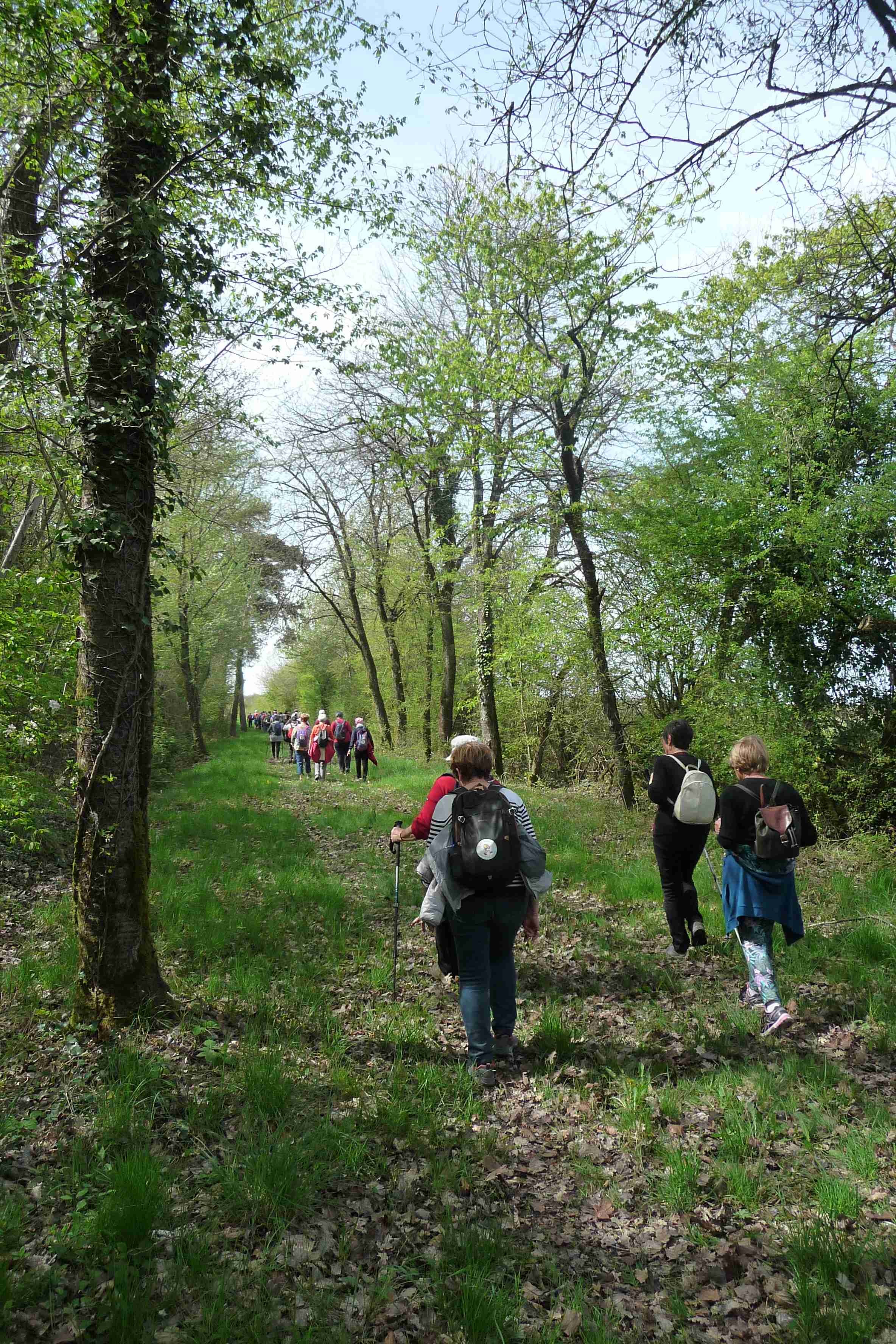 Leigné les bois 8kms 11/04