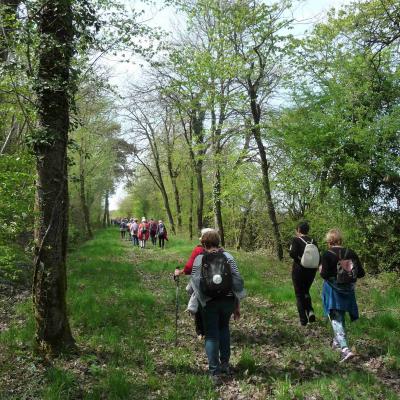 Leigné les bois 8kms 11/04