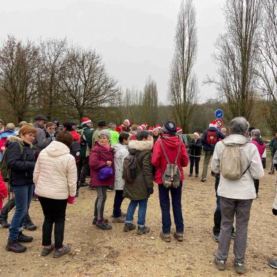 Forêt de Châtellerault 18/12