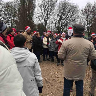 Forêt de Châtellerault 18/12