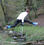 Saut